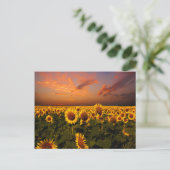 血空 ポストカード (スタンド正面)