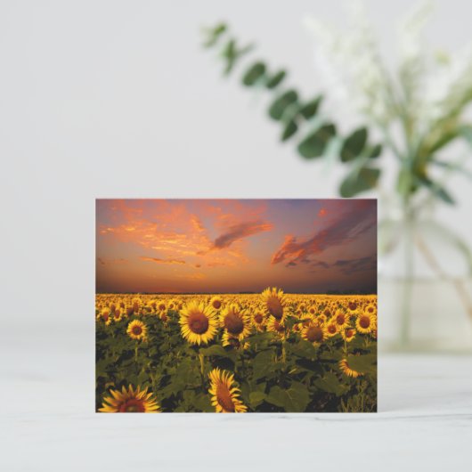 血空 ポストカード (スタンド正面)