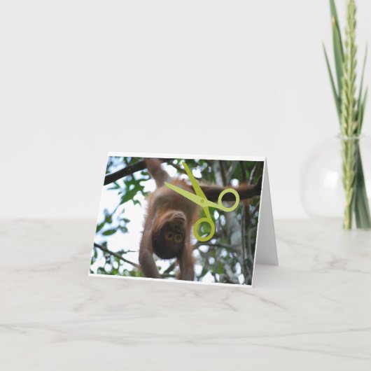 血管おもしろい切除 シーズンカード (正面)