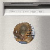 血管おもしろい切除 マグネット (インサイチュ (食洗機))