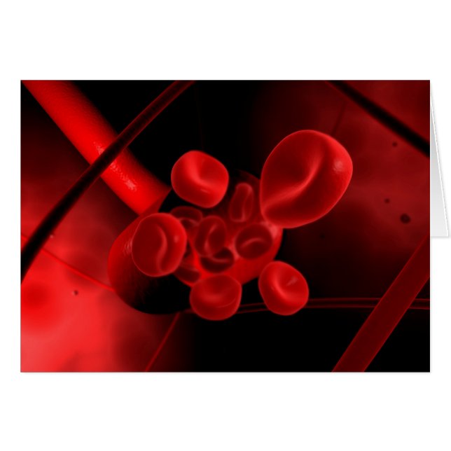 血管の概念像 (正面横)