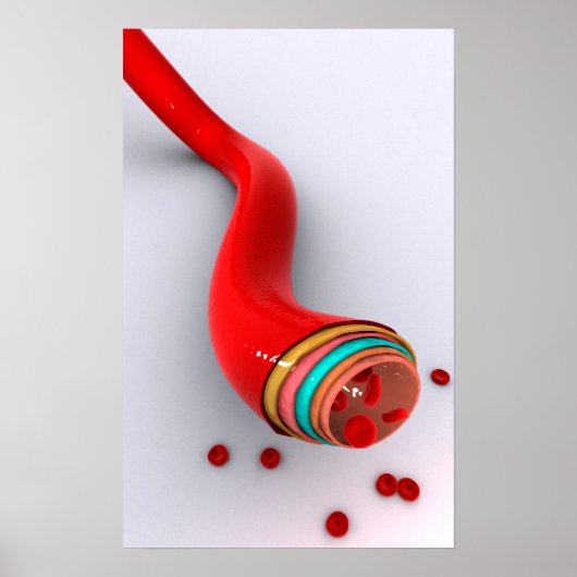 血管の概念像 ポスター (正面)