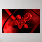 血管の概念像 ポスター (正面)