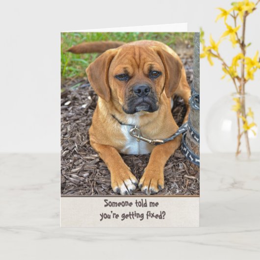 血管切除ユーモア カード (黄色い花)