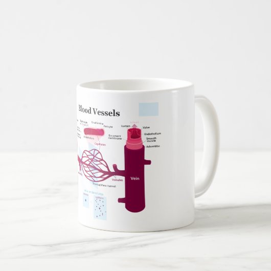 血管動脈の毛管静脈の図表 コーヒーマグカップ (正面右)