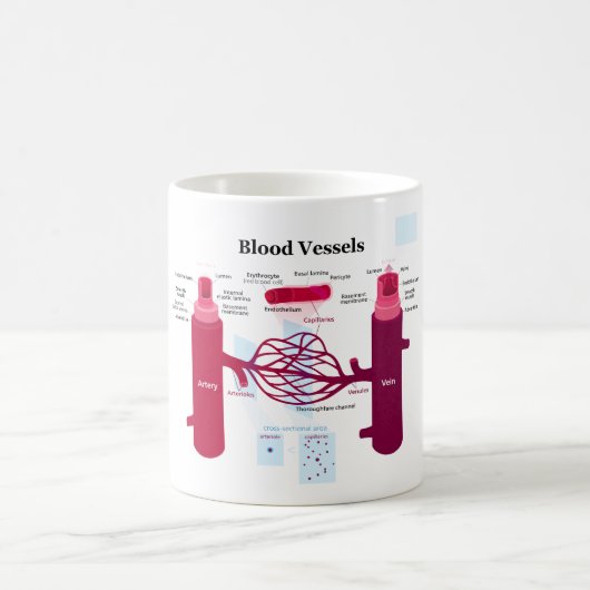 血管動脈の毛管静脈の図表 コーヒーマグカップ (中央)