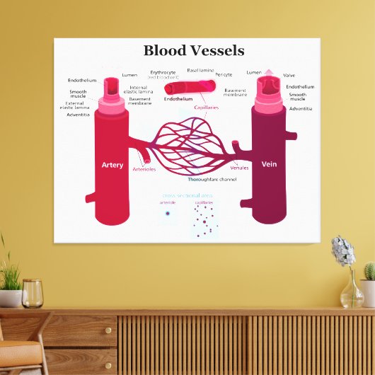 血管動脈毛細血管図 キャンバスプリント (インサイチュ (リビング))