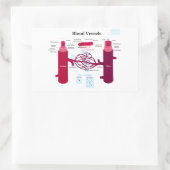 血管動脈毛細血管図 長方形シール (バッグ)