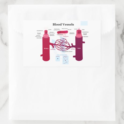 血管動脈毛細血管図 長方形シール (バッグ)