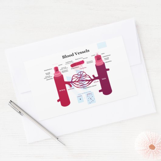 血管動脈毛細血管図 長方形シール (封筒)