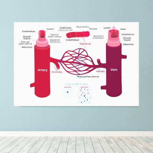 血管図動脈血管毛細血管 キャンバスプリント (インサイチュ (ウッドフロア))