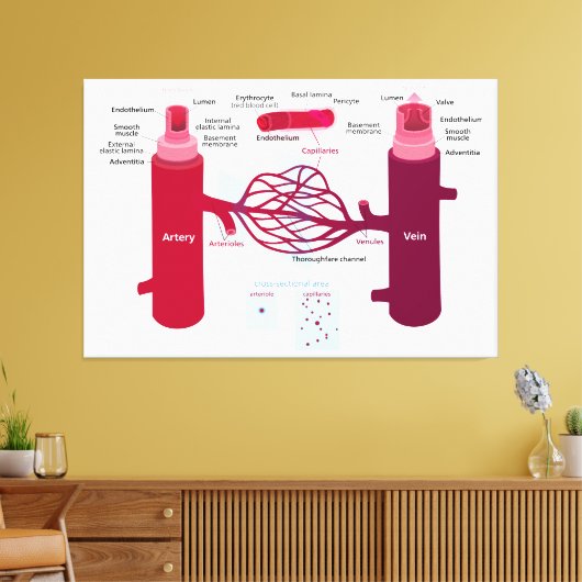 血管図動脈血管毛細血管 キャンバスプリント (インサイチュ (リビング))