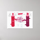 血管図動脈血管毛細血管 キャンバスプリント (正面)