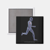 血管系のXランニング線 マグネット (正面/裏面)