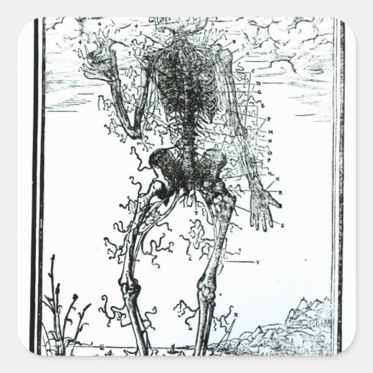 血管系体 スクエアシール (正面)