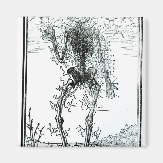 血管系体 マグネット (正面)