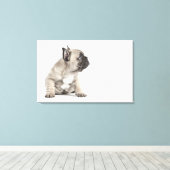 血統のある子犬 キャンバスプリント (インサイチュ (ウッドフロア))