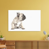 血統のある子犬 キャンバスプリント (インサイチュ (リビング))