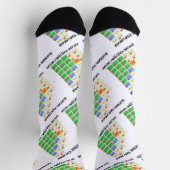 血統を解明して家族の歴史を探求 ソックス (上部)