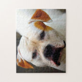 血統ブルドッグ。 ジグソーパズル (縦)