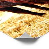 血統レッドルビーデボンカウー ポスター (角)