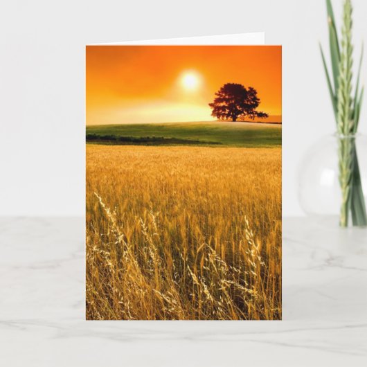 血赤い日没 カード (正面)