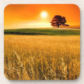 血赤い日没 コースター (正面)