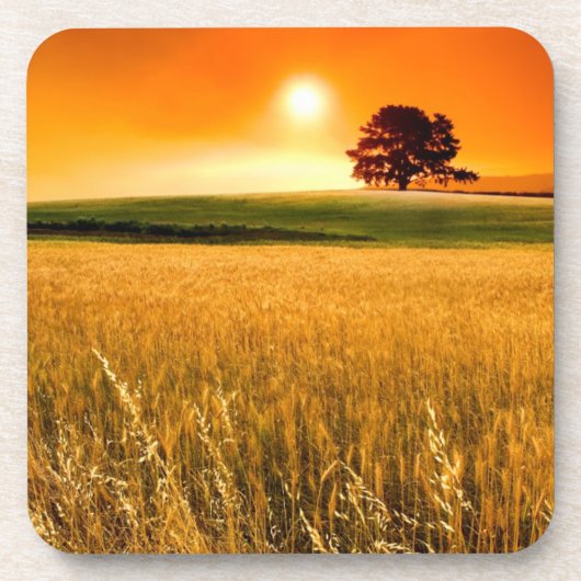 血赤い日没 コースター (正面)