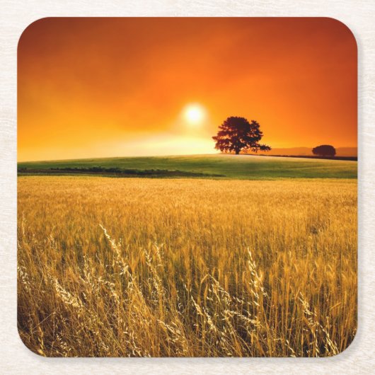 血赤い日没 スクエアペーパーコースター (正面)