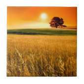 血赤い日没 タイル (正面)