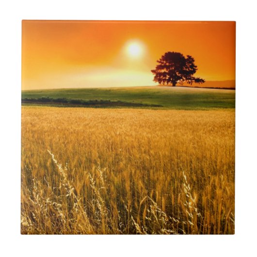 血赤い日没 タイル (正面)