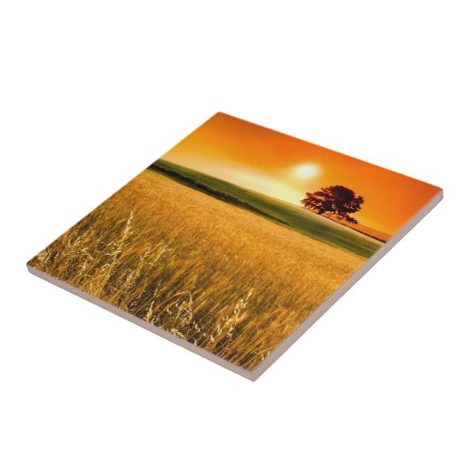 血赤い日没 タイル (側面)