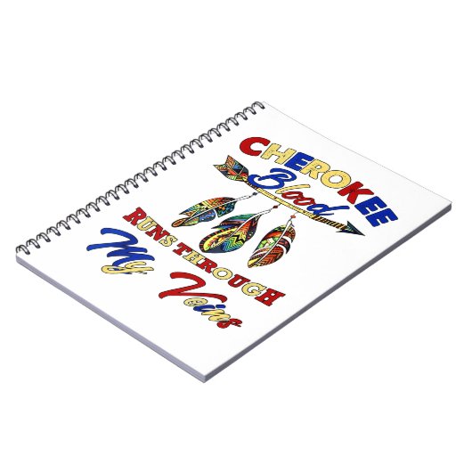 血走を通す ノートブック (左側)