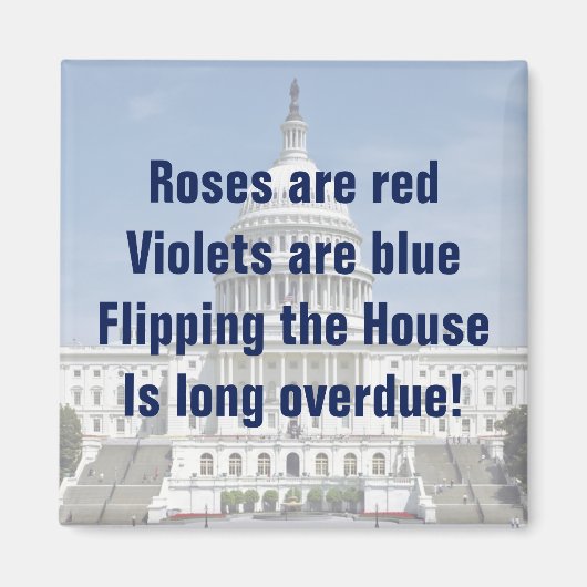 衆議院を動かす マグネット (正面)