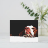 行かないで ポストカード (スタンド正面)