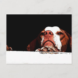 行かないで ポストカード