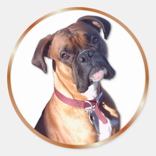 行かない ラウンドシール (正面)