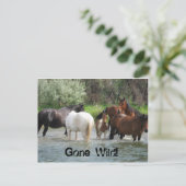 行き過ぎた絵葉書 ポストカード (スタンド正面)