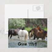 行き過ぎた絵葉書 ポストカード (正面/裏面)