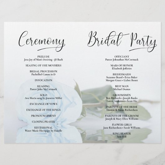 行くぞ!ダスティブルーバラDIYフォールド結婚式 プログラム (裏面)