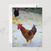 行く先 ポストカード (正面/裏面)