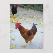 行く先 ポストカード (正面)