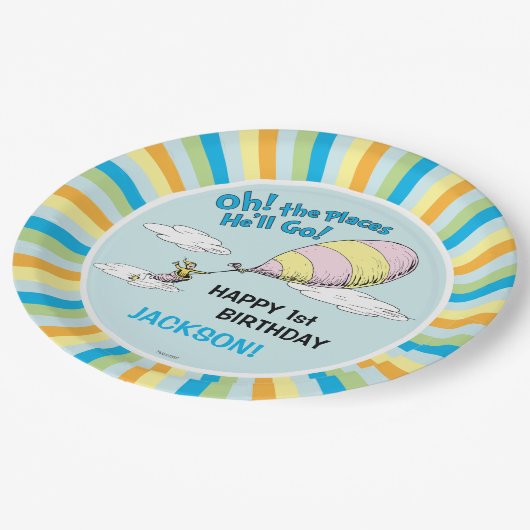 行く場所だ！ – 最初の誕生日 ペーパープレート (アングル)