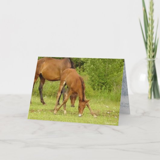 「行けベビー、行け！グリーティングカード カード (正面)