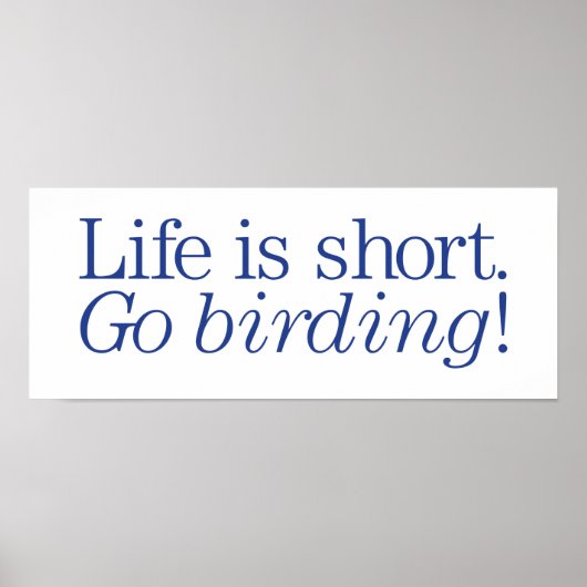 行け野鳥観察! ポスター (正面)