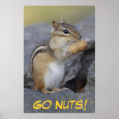 行け！ ポスター (正面)