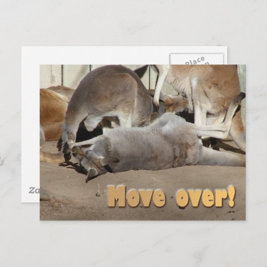 行け! ポストカード (正面/裏面)