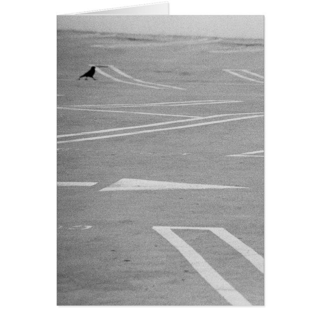 行こうあちらの方に!! (正面)