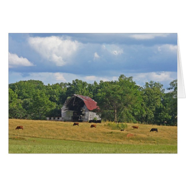 行ったが行かない忘れ (正面横)