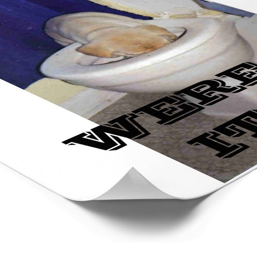 行ったのか? ポスター (角)